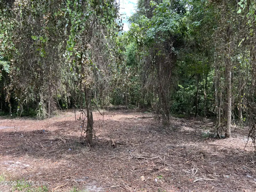 4070 Honeysuckle Circle, Middleburg, FL 32068 - #2