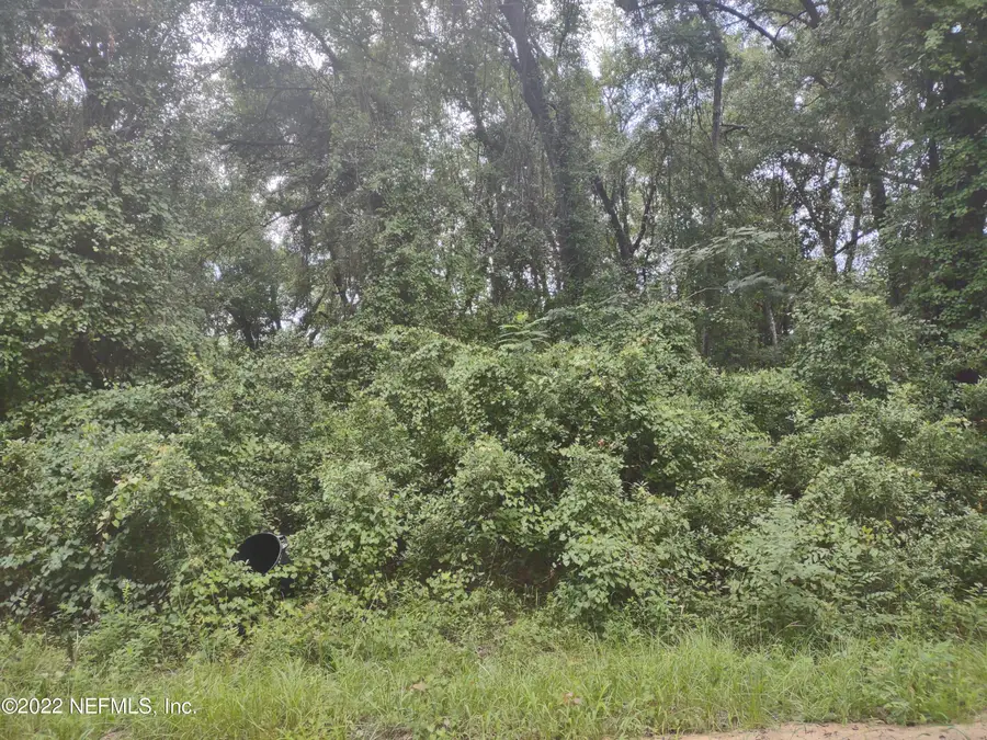 0260 Wilson Drive, Interlachen, FL 32148 - #2