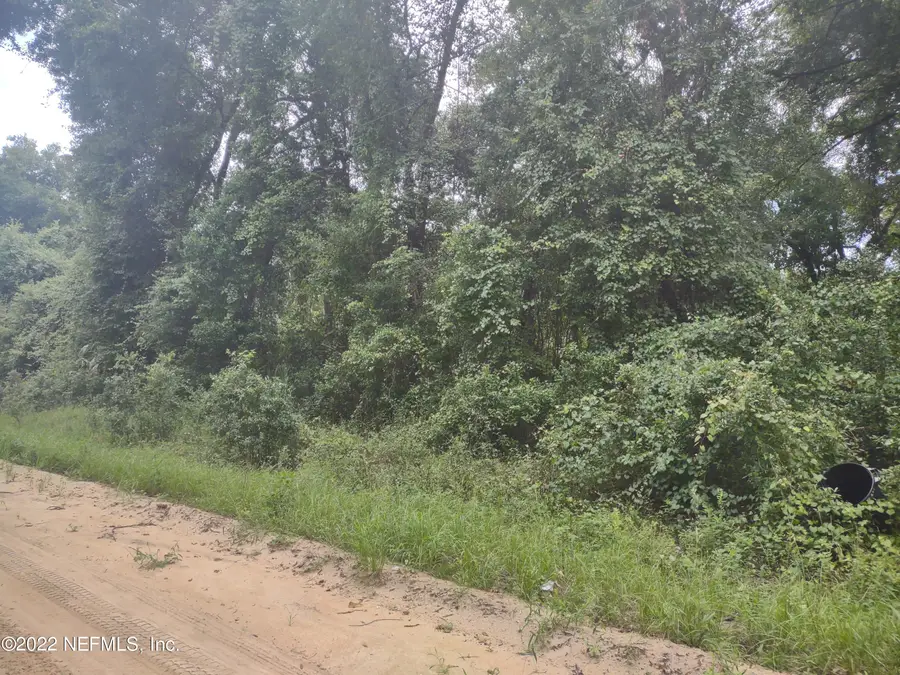 0260 Wilson Drive, Interlachen, FL 32148 - #3