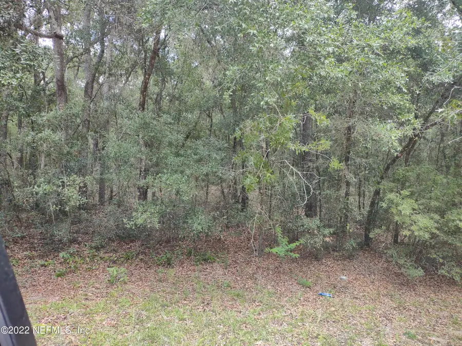 0040 Brett Avenue, Interlachen, FL 32148 - #3