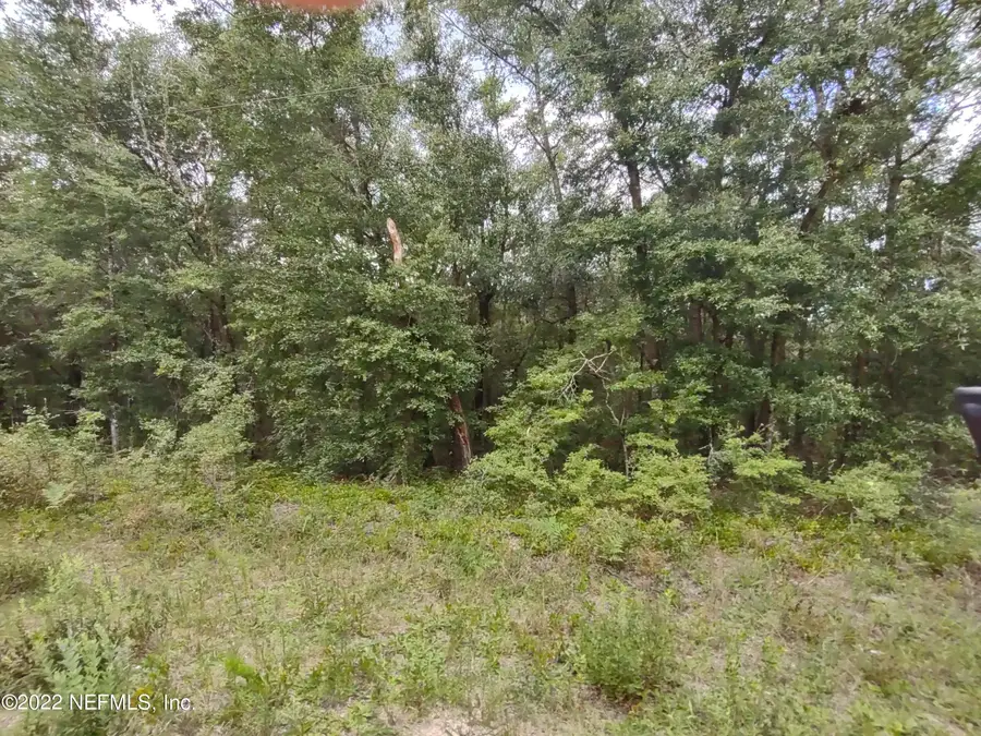 24 Neilsen Avenue, Interlachen, FL 32148 - #2