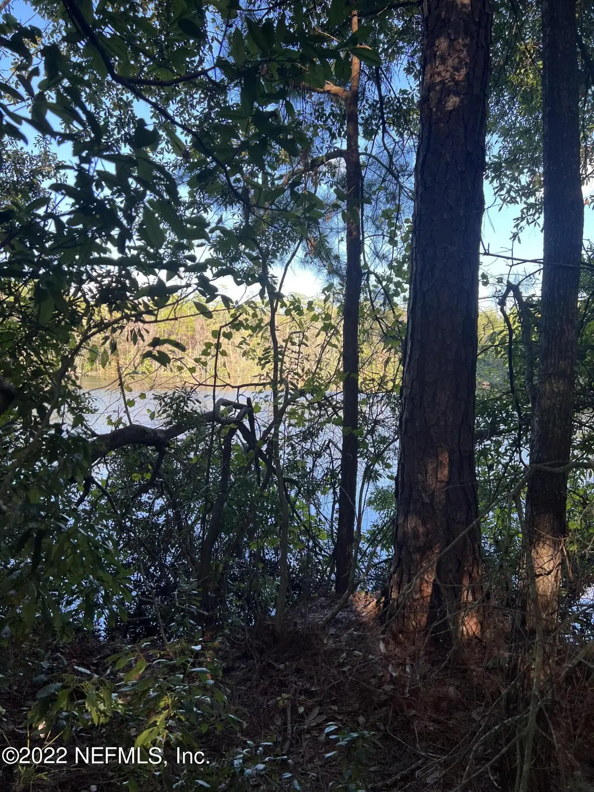 0 Lola Drive, Jacksonville, FL 32210 - Image #1