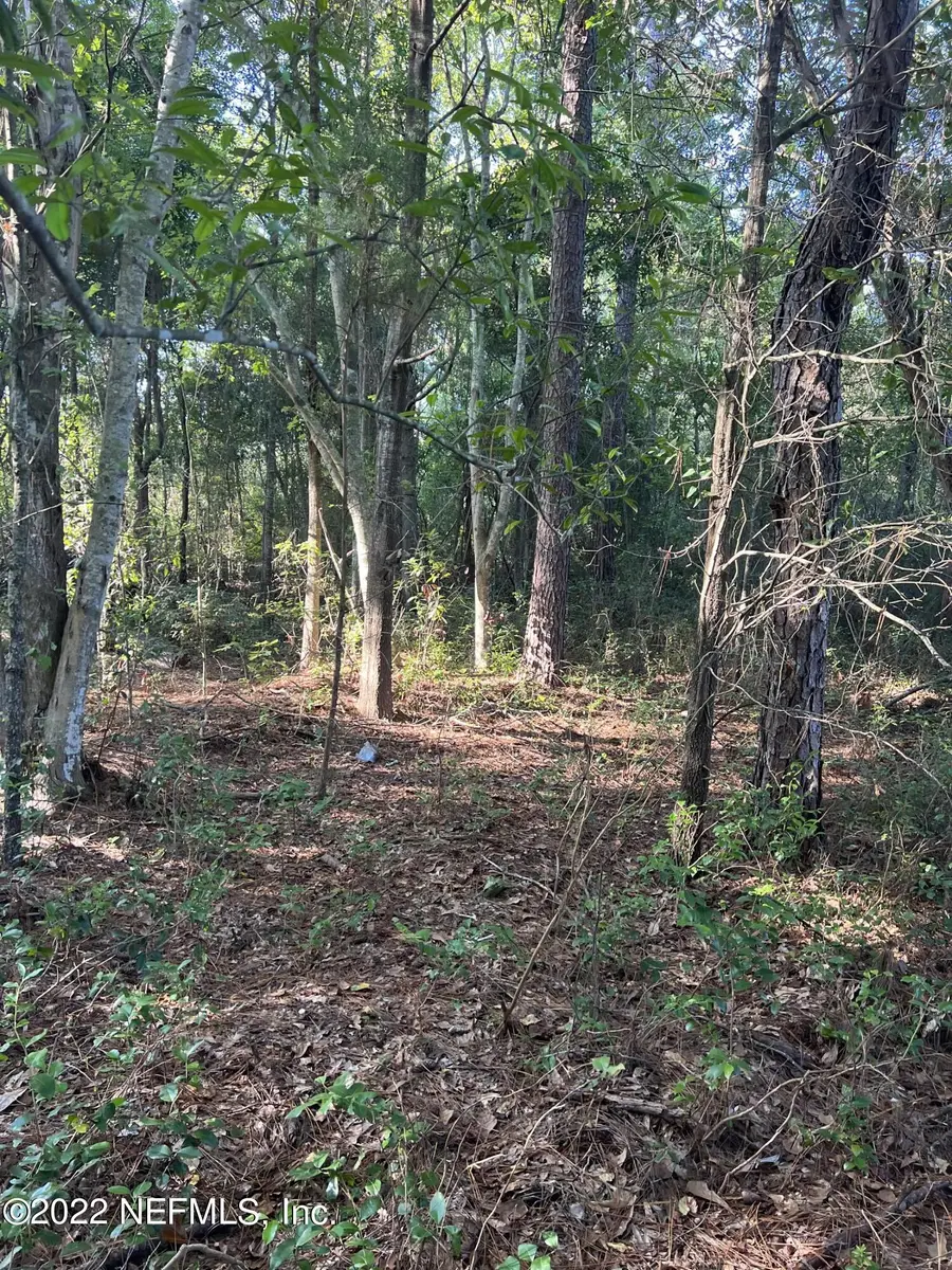 0 Lola Drive, Jacksonville, FL 32210 - Image #3