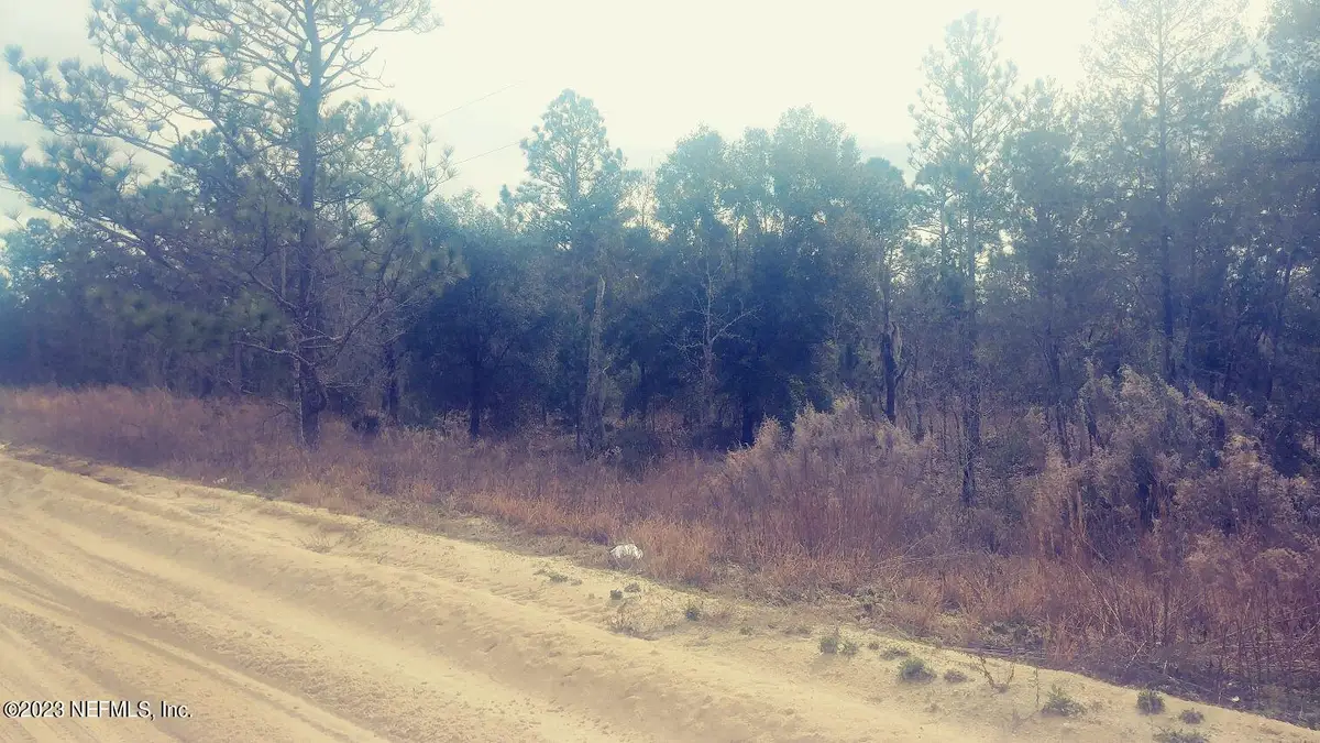 521 Interlachen Boulevard, Interlachen, FL 32148 - #1