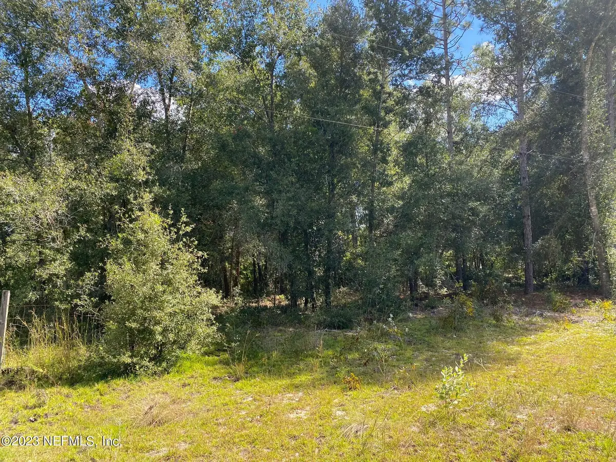 X9X Tasby Street, Interlachen, FL 32148 - Image #1