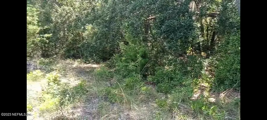 304 Ridge Road, Satsuma, FL 32189 - Image #3