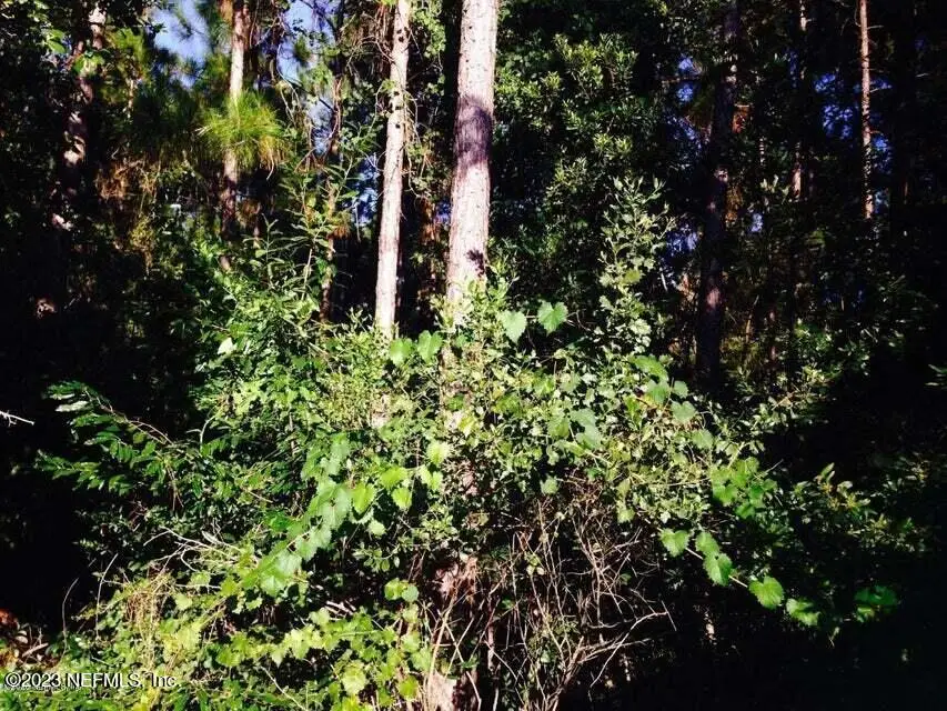 0 Fawn Lake S Drive, Jacksonville, FL 32256 - Image #1