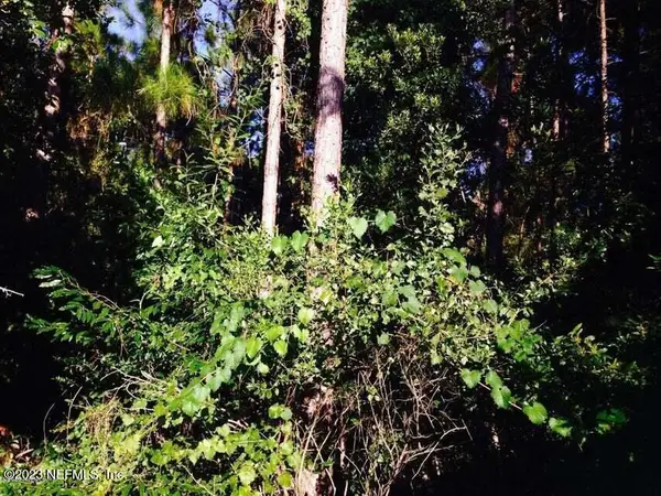 0 Fawn Lake S Drive, Jacksonville, FL 32256