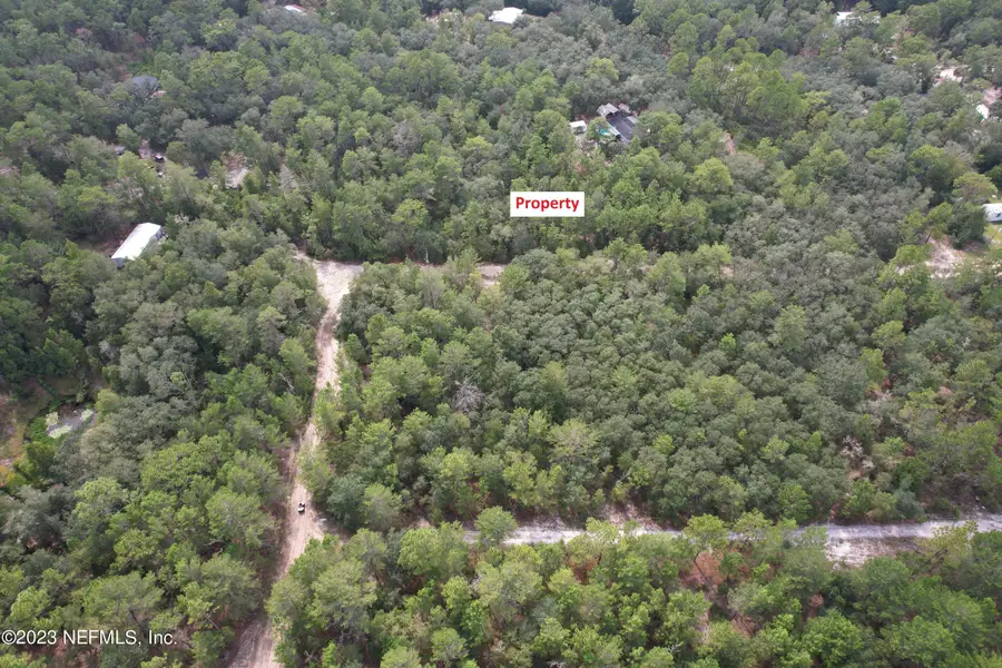 121 Roberto Lane, Florahome, FL 32140 - Image #2