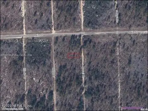 141-143 Hawaii Drive, Hawthorne, FL 32640 - Image #1