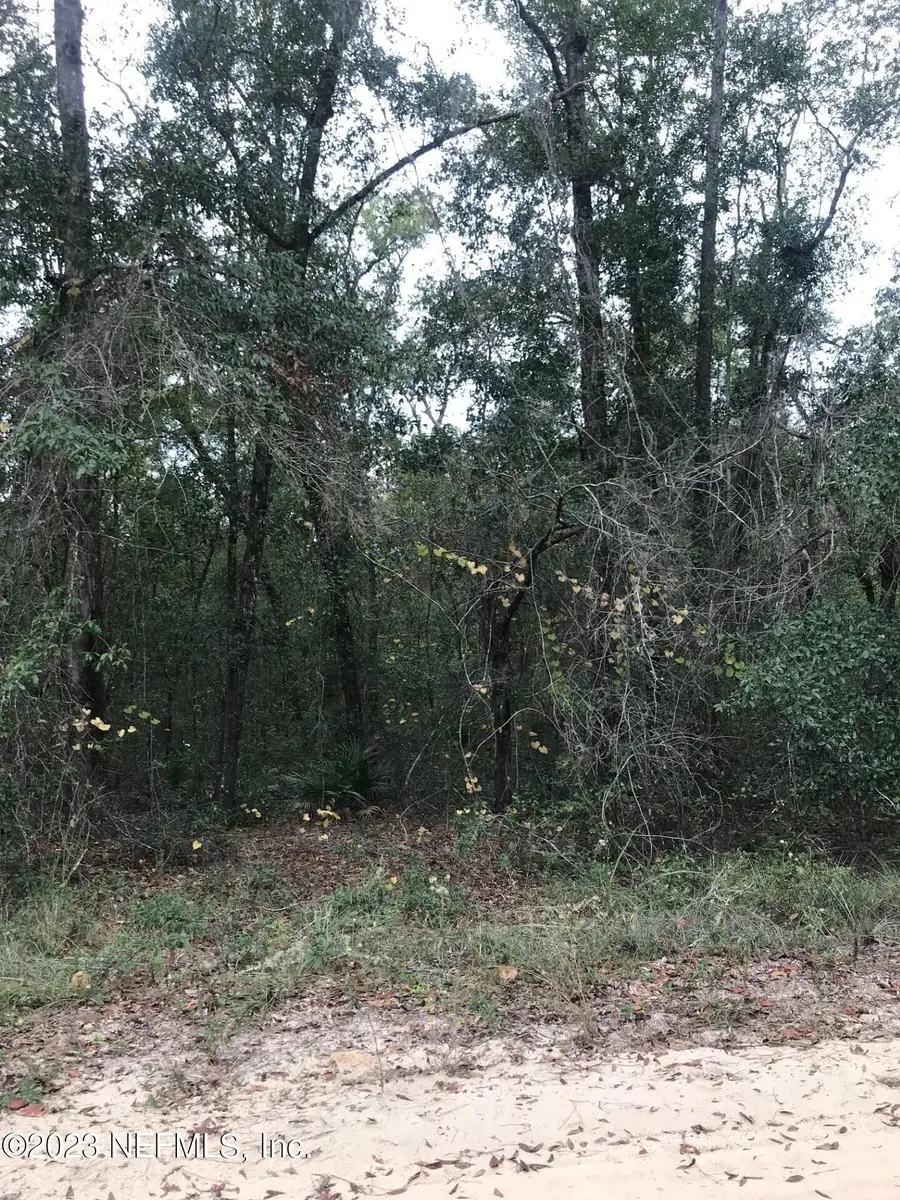 LOT 27 Brett Avenue, Interlachen, FL 32148 - Image #2