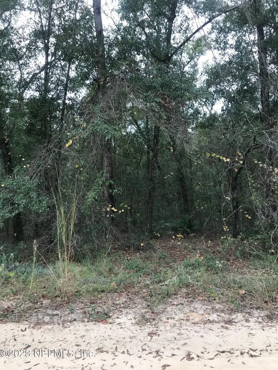 LOT 27 Brett Avenue, Interlachen, FL 32148 - Image #3