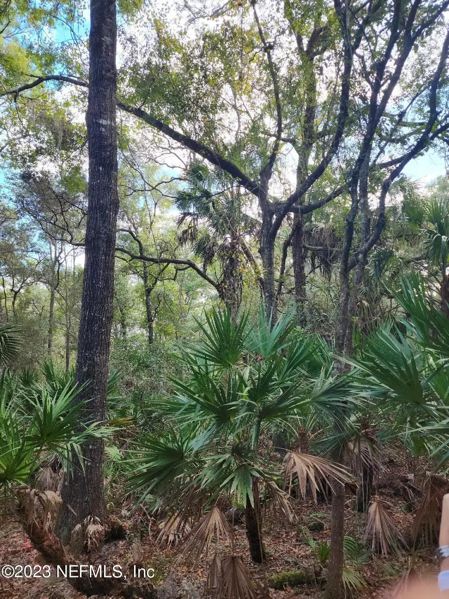 9897 NW 56th Place, Chiefland, FL 32626 - Image #3