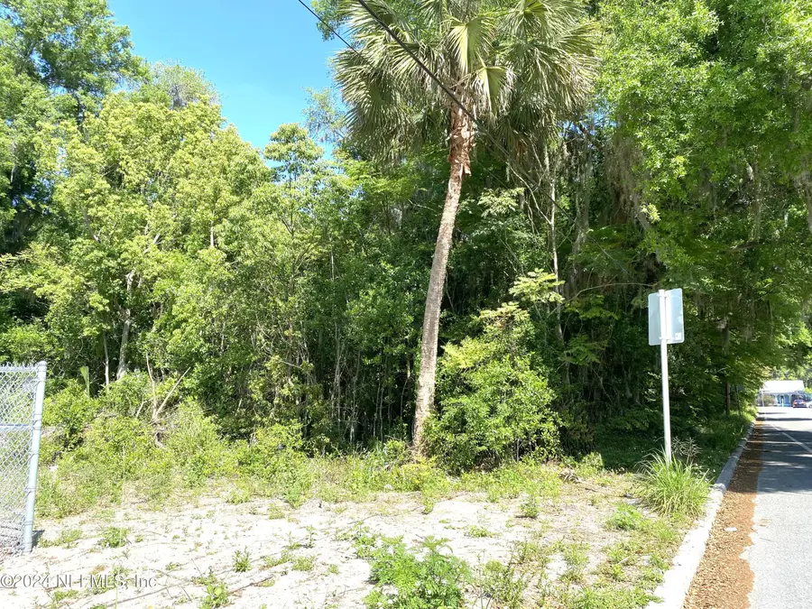 410 Vernon Avenue, Crescent City, FL 32112 - Image #2