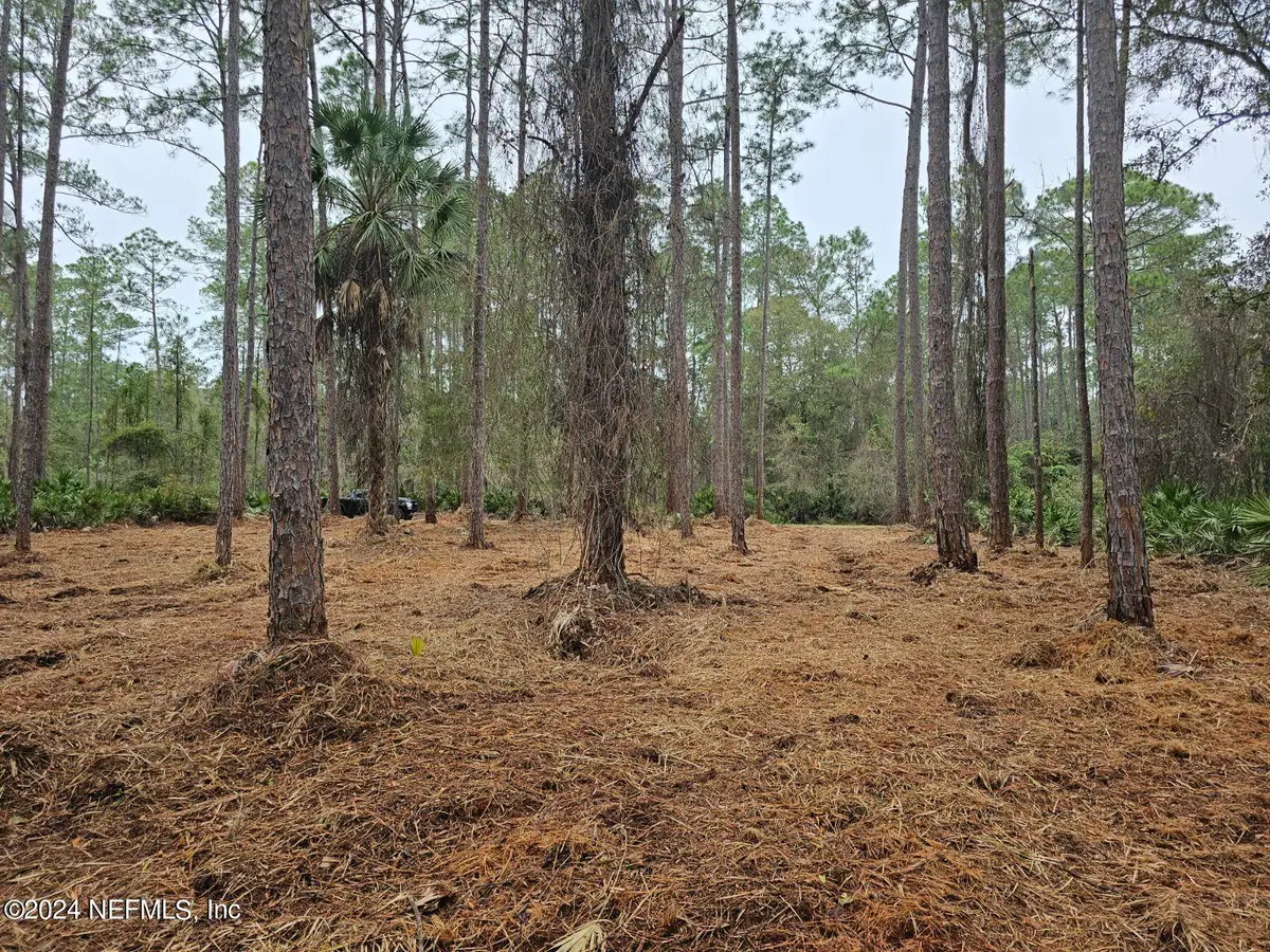 211 4th Street, Georgetown, FL 32139 - Image #1