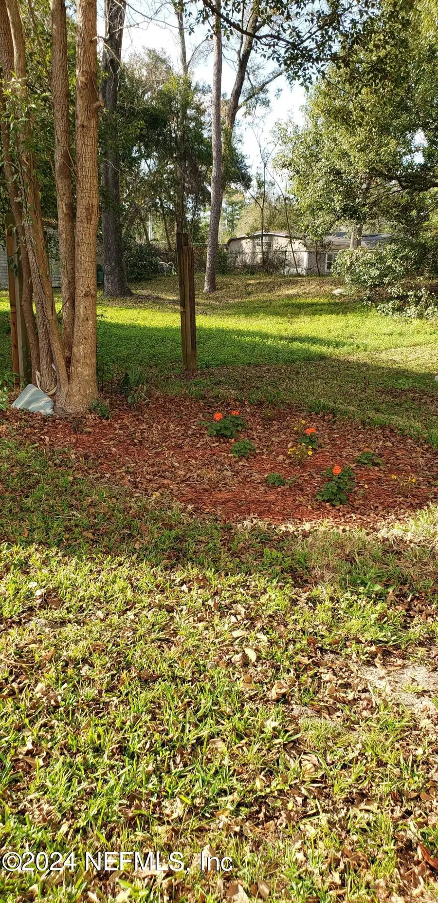 7249 Mimosa Grove Trail, Jacksonville, FL 32210 - Image #2