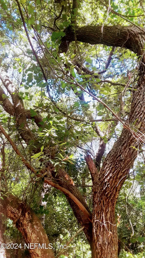 5377 Custer Street, Keystone Heights, FL 32656