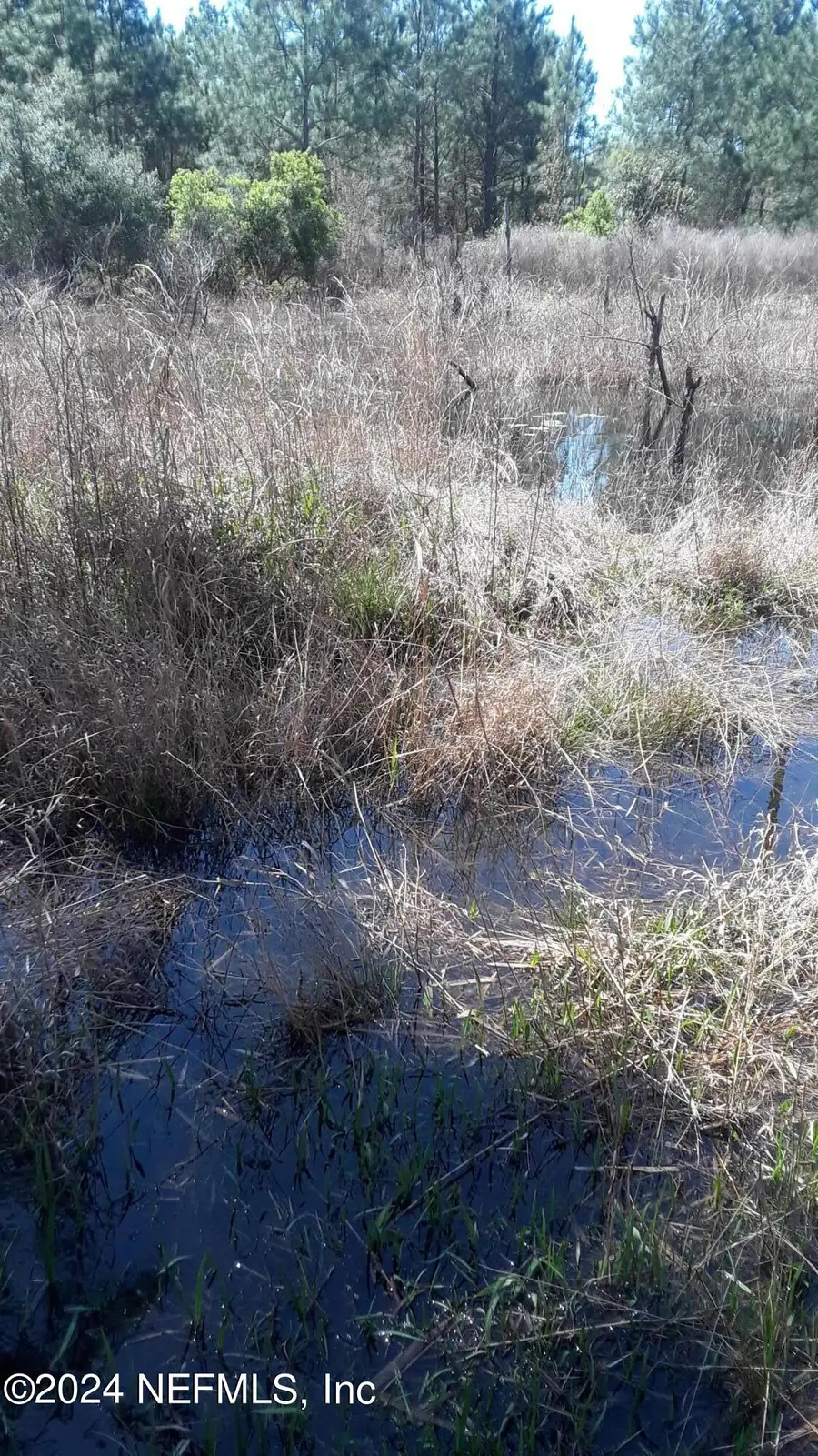 5377 Custer Street, Keystone Heights, FL 32656 - Image #3