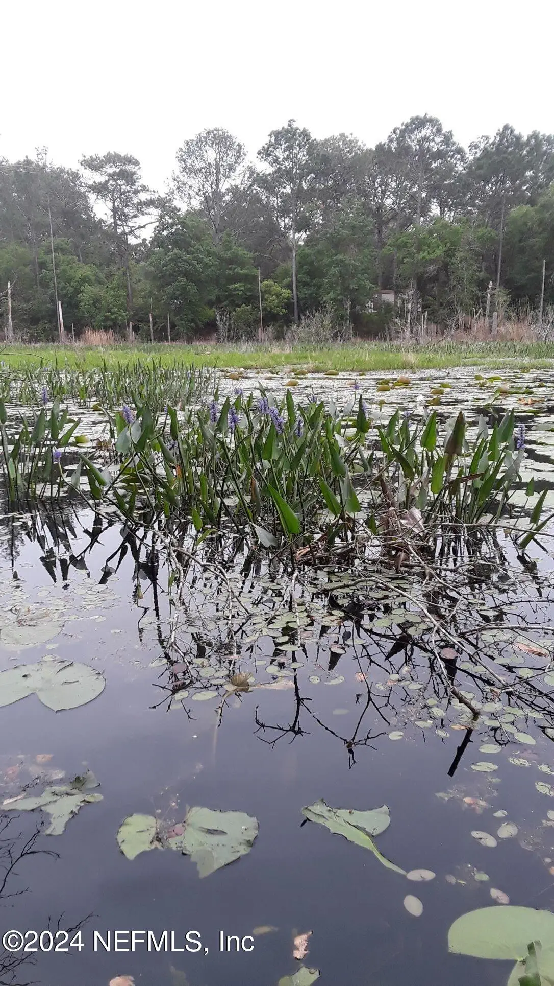 5455 Joshua Street, Keystone Heights, FL 32656 - Image #1