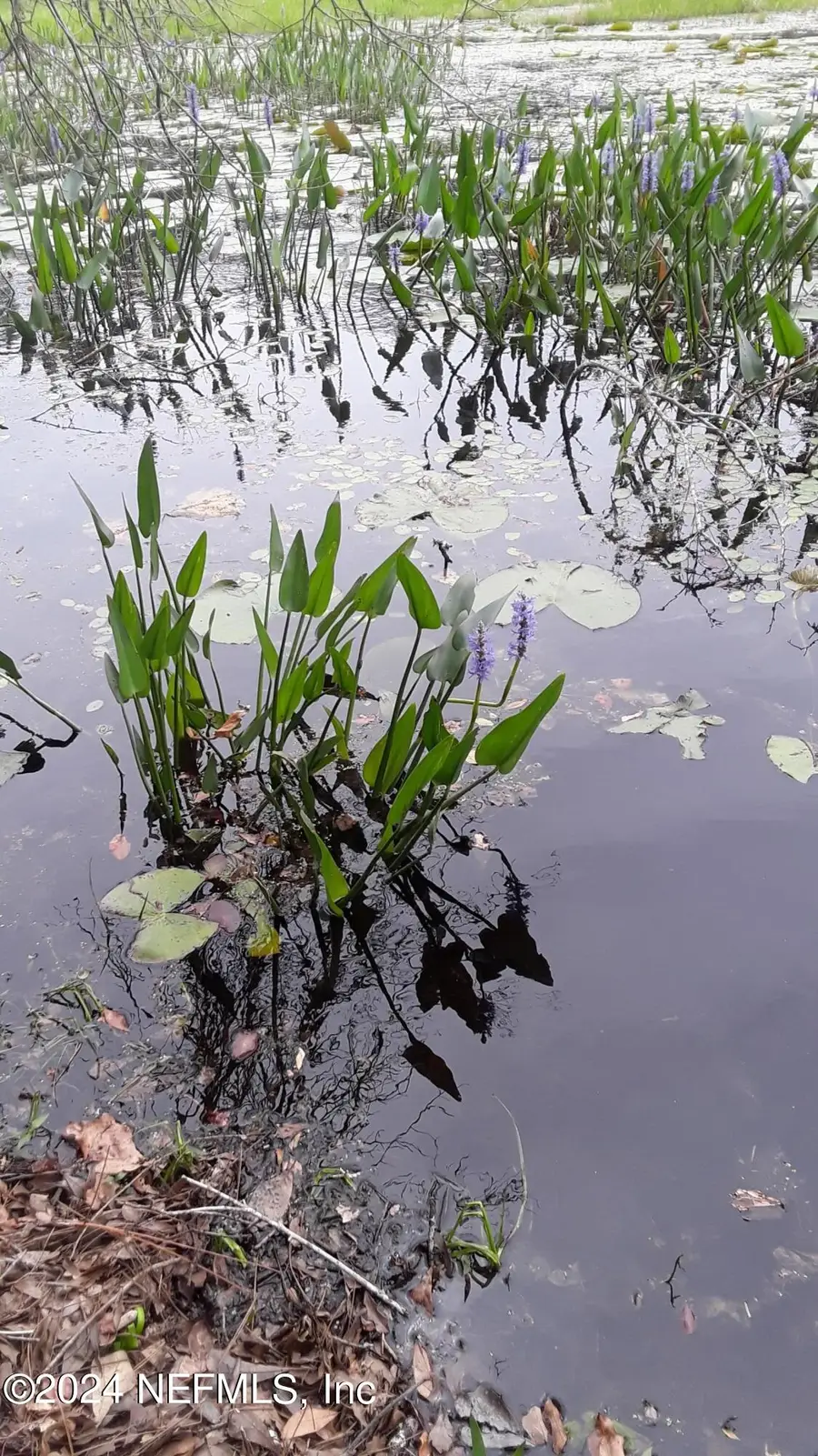 5455 Joshua Street, Keystone Heights, FL 32656 - Image #3