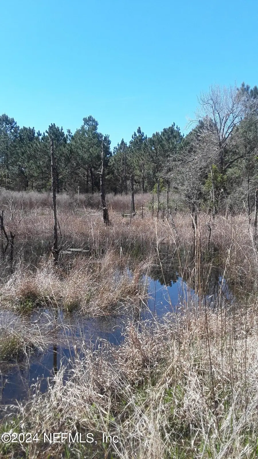 5210 Co Rd 214, Keystone Heights, FL 32656 - #3