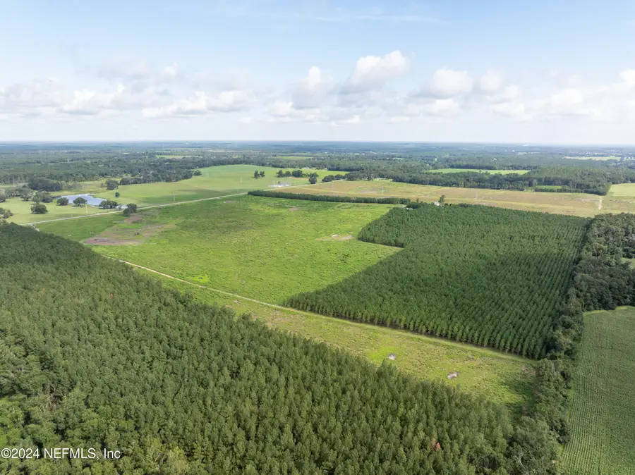 VACANT88 NE Rocky Ford Road, Madison, FL 32340 - Image #3