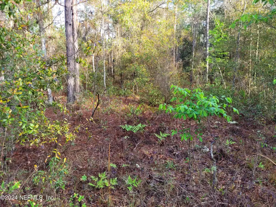 6208 Hunter Avenue, Keystone Heights, FL 32656 - Image #2