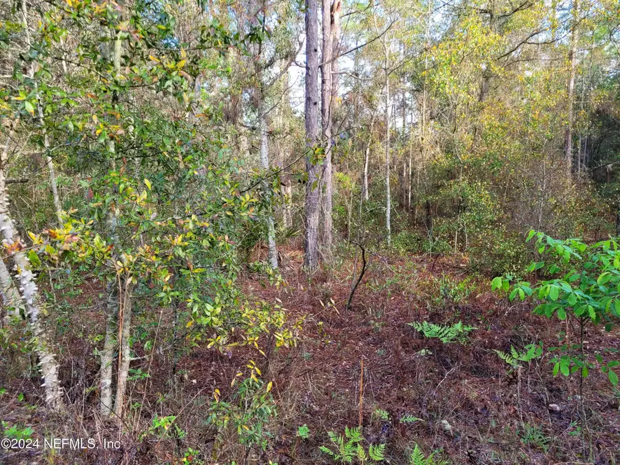 6208 Hunter Avenue, Keystone Heights, FL 32656 - Image #3