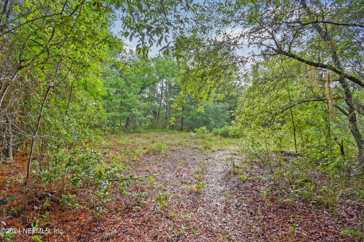 132 Kennedy Avenue, Interlachen, FL 32148 - #1