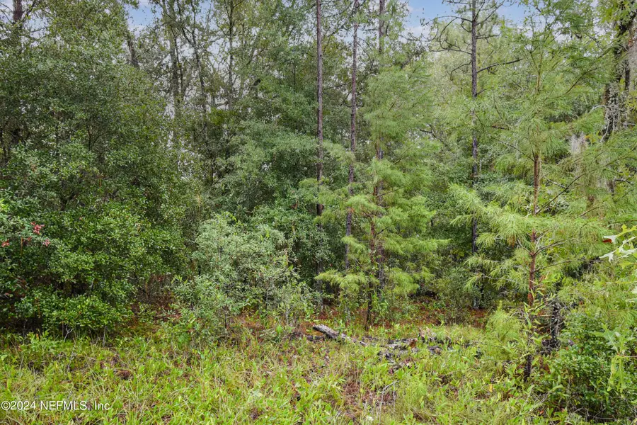 132 Kennedy Avenue, Interlachen, FL 32148 - #3