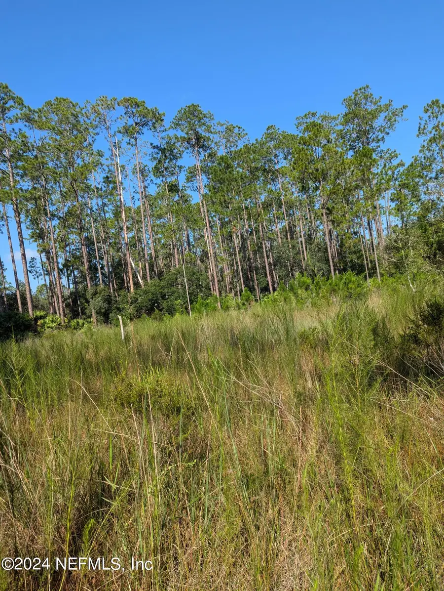 0 Garcia Street, Interlachen, FL 32148 - #3