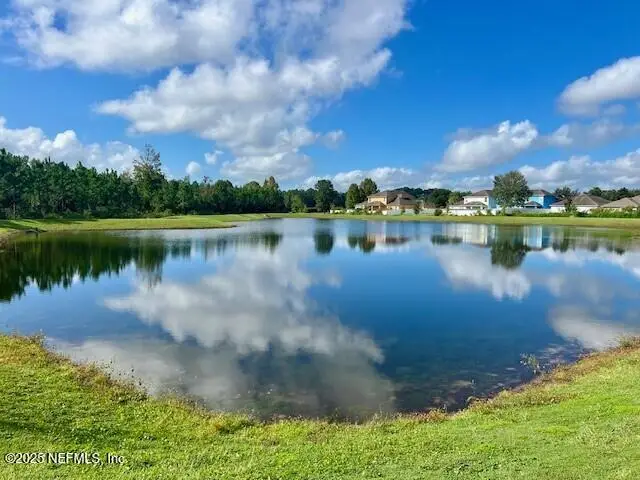 931 Rivertree Place, Middleburg, FL 32068 - Image #3