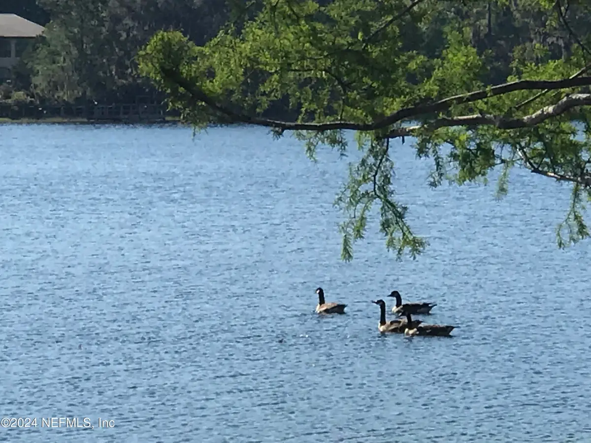 XX Simpson Drive, Interlachen, FL 32148 - Image #1