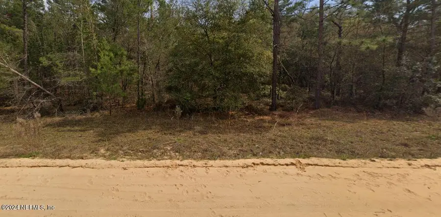 0 Michael Avenue, Interlachen, FL 32148 - #2