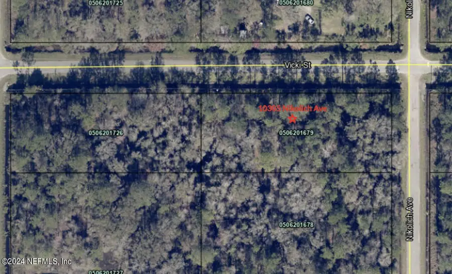 10305 Nikolich Avenue, Hastings, FL 32145 - Image #2