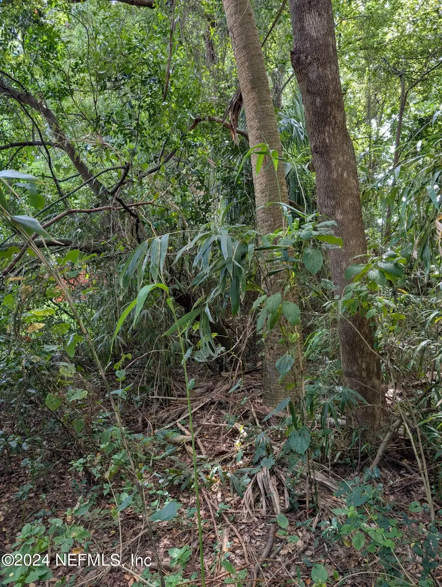 0 Atlantic Boulevard, Jacksonville, FL 32207 - Image #2