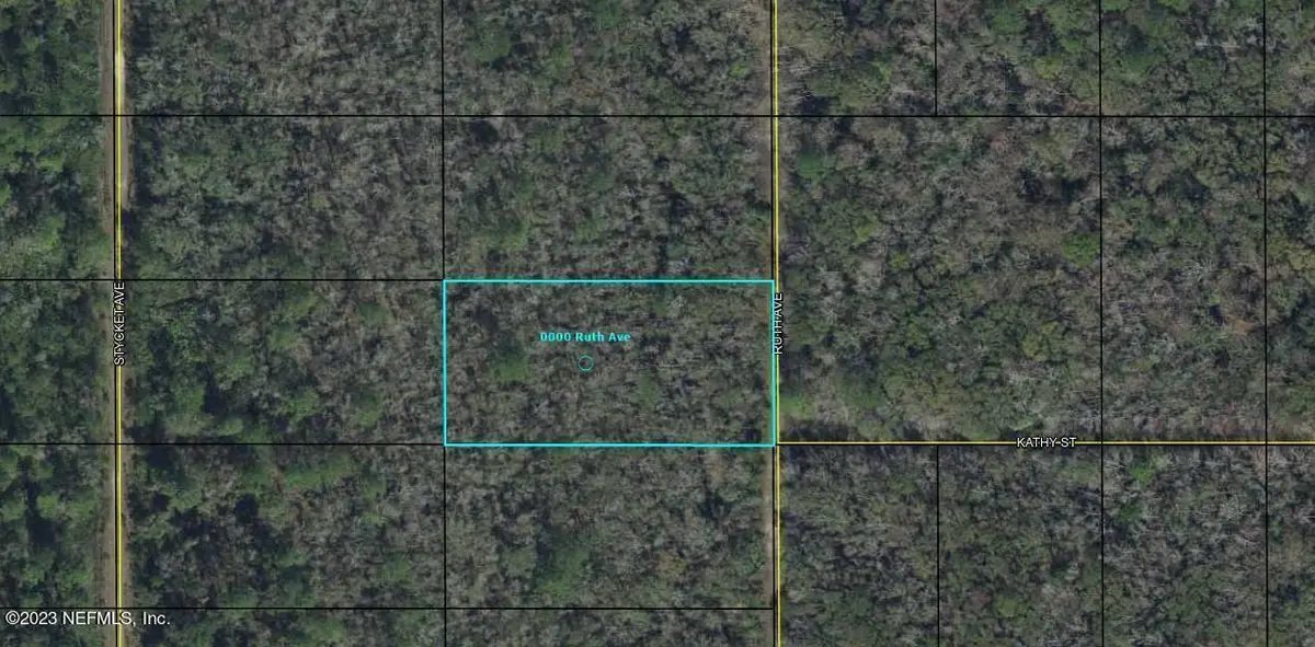 0000 Ruth Avenue, Hastings, FL 32145 - #1