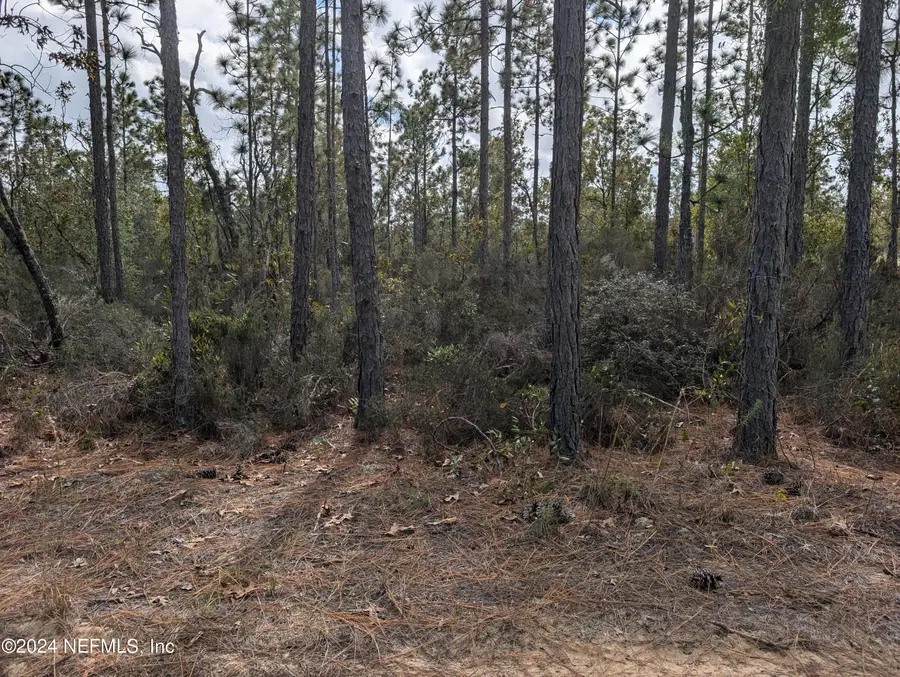 40 Frisco Avenue, Interlachen, FL 32148 - Image #2