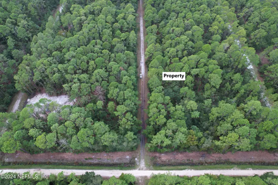 136 Helen Avenue, Georgetown, FL 32139 - Image #3