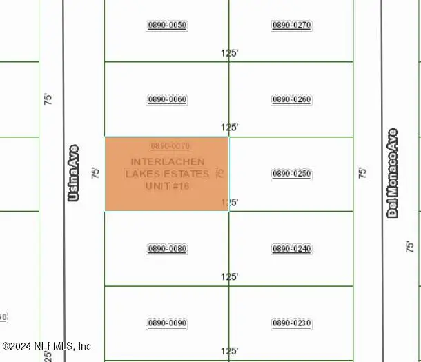 0 Usina Avenue, Interlachen, FL 32148 - Image #1