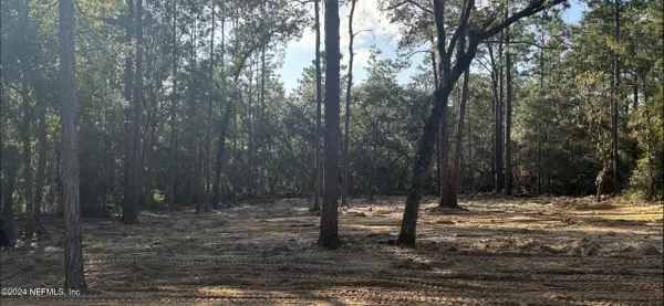 409 Edgehill Road, Satsuma, FL 32189