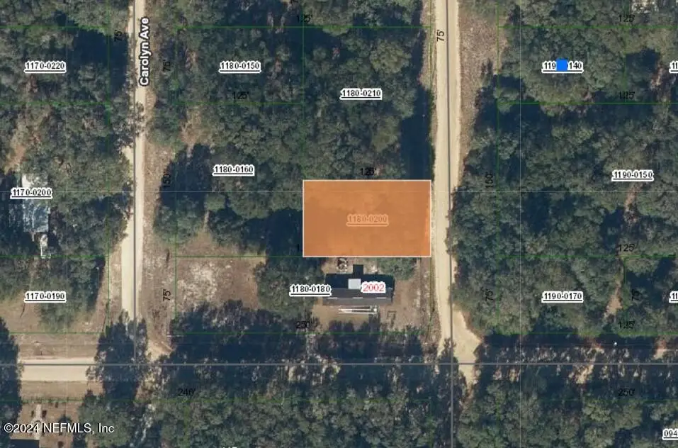 0 Lenore, Interlachen, FL 32148 - Image #1