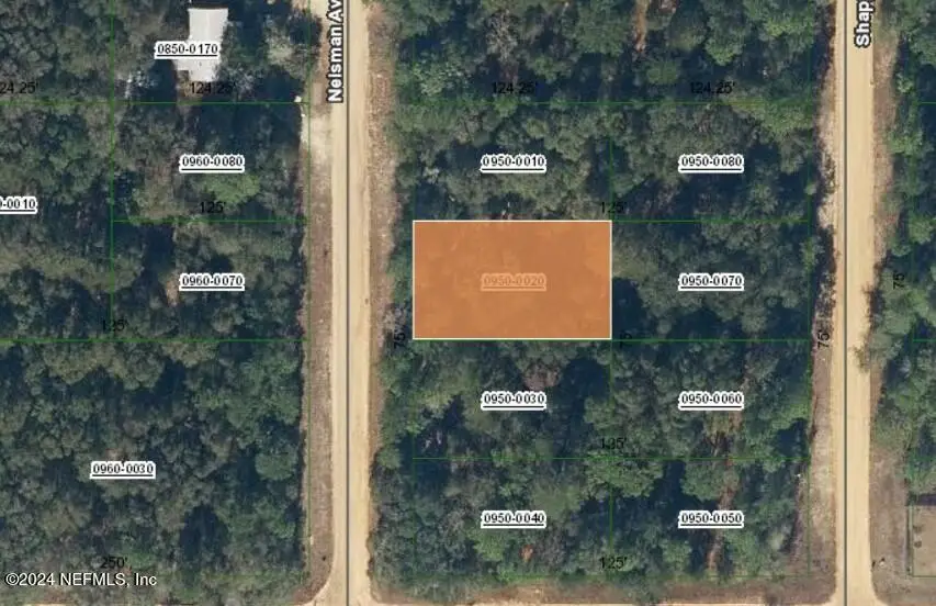 00000 Nelsman Avenue, Interlachen, FL 32148 - Image #1
