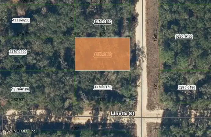 000000 Gloria Avenue, Interlachen, FL 32148 - Image #1