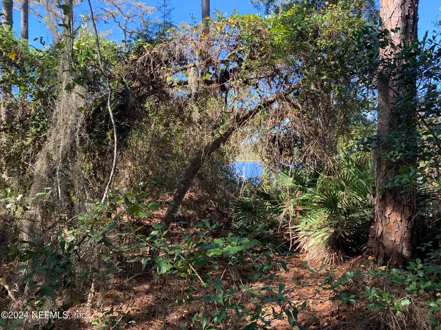 105 Palmer Drive, Interlachen, FL 32148 - Image #2