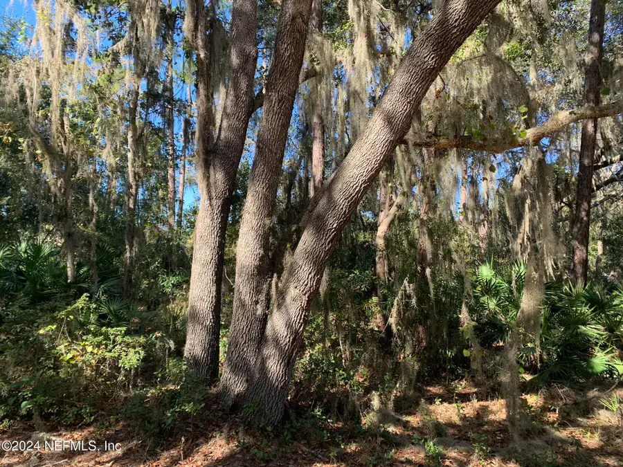 105 Palmer Drive, Interlachen, FL 32148 - Image #3