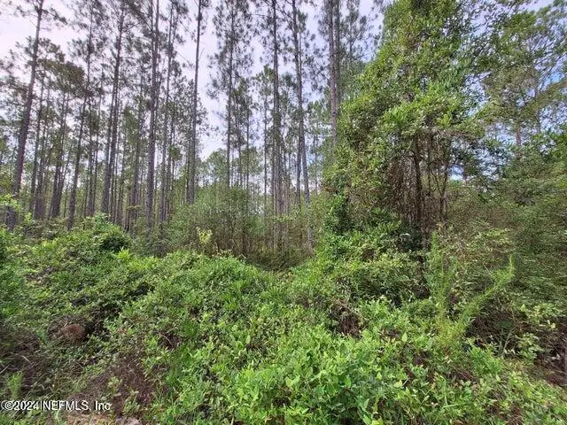 000 Unassigned, Interlachen, FL 32148 - Image #1