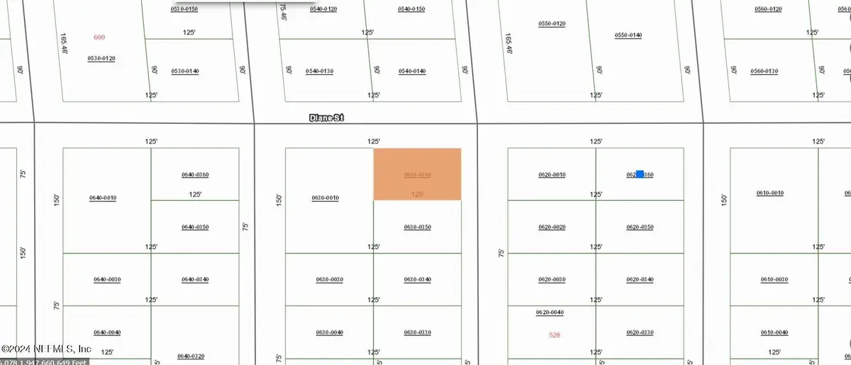 0000000 David Avenue, Interlachen, FL 32148 - Image #1