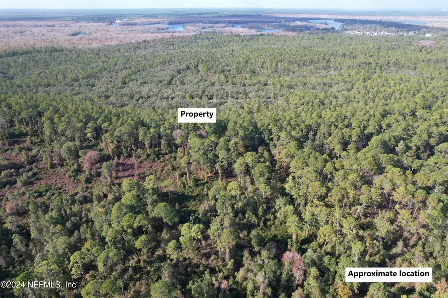 104 Frankfort Street, Satsuma, FL 32189 - Image #3