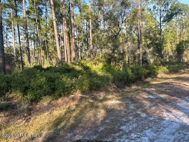 128 Carteret Road, Georgetown, FL 32139 - Image #3